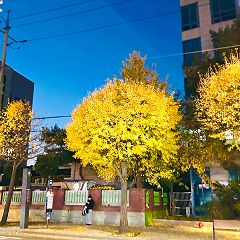 11位のイメージ