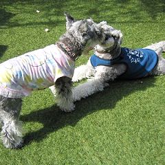 16位のイメージ