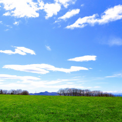 41位のイメージ