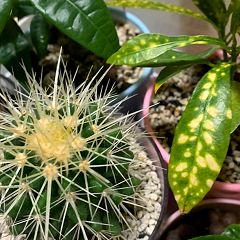 987位のイメージ