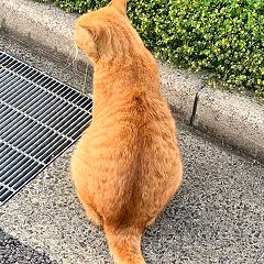 35位のイメージ