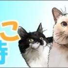 59位のイメージ