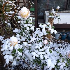 42位のイメージ