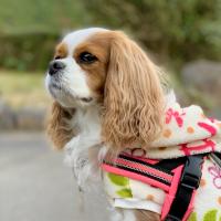 236位のイメージ