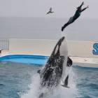 21位のイメージ