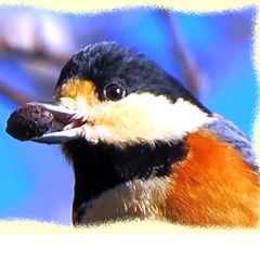 18位のイメージ