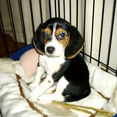 30位のイメージ