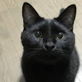 101位のイメージ