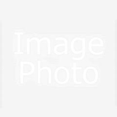 29位のイメージ