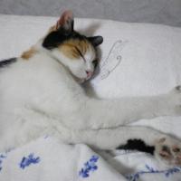 110位のイメージ