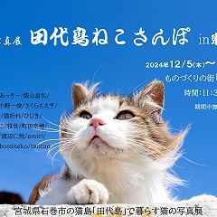 986位のイメージ