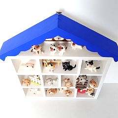 16位のイメージ