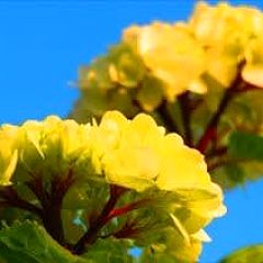 123位のイメージ