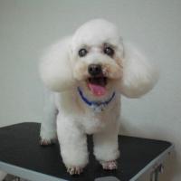 61位のイメージ