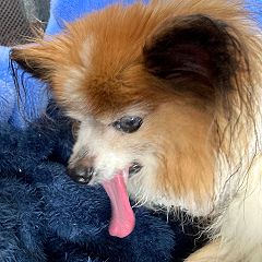 24位のイメージ