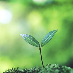 57位のイメージ