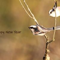 951位のイメージ