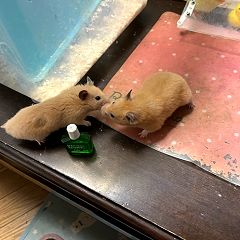 119位のイメージ