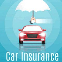 482位のイメージ