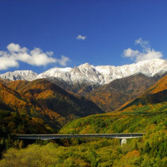 11位のイメージ