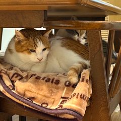 10位のイメージ