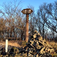 139位のイメージ