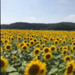 103位のイメージ