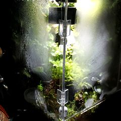 89位のイメージ