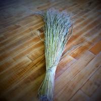 66位のイメージ