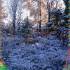 1404位のイメージ