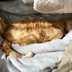 21位のイメージ