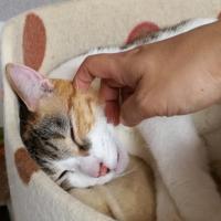 608位のイメージ