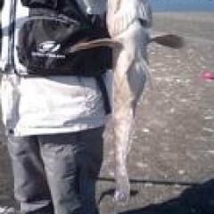 17位のイメージ