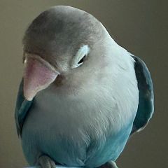 65位のイメージ