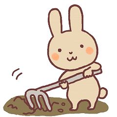 56位のイメージ