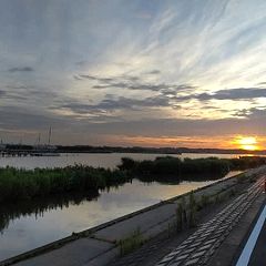 231位のイメージ