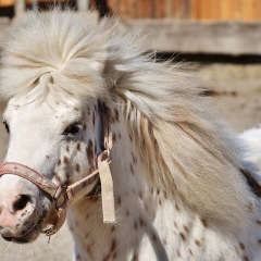 27位のイメージ