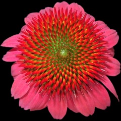 28位のイメージ