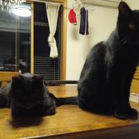 1123位のイメージ