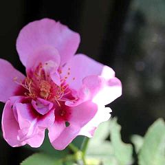 10位のイメージ