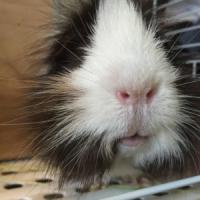 44位のイメージ