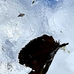 21位のイメージ