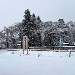 13位のイメージ