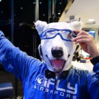 52位のイメージ