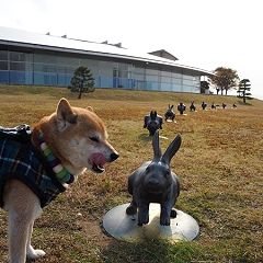 55位のイメージ