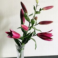 100位のイメージ