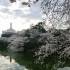 286位のイメージ