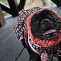 14637位のイメージ