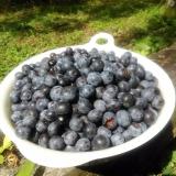 55位のイメージ