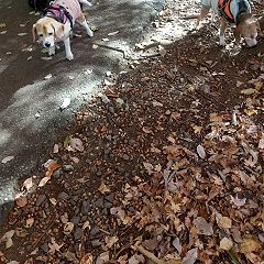 16位のイメージ